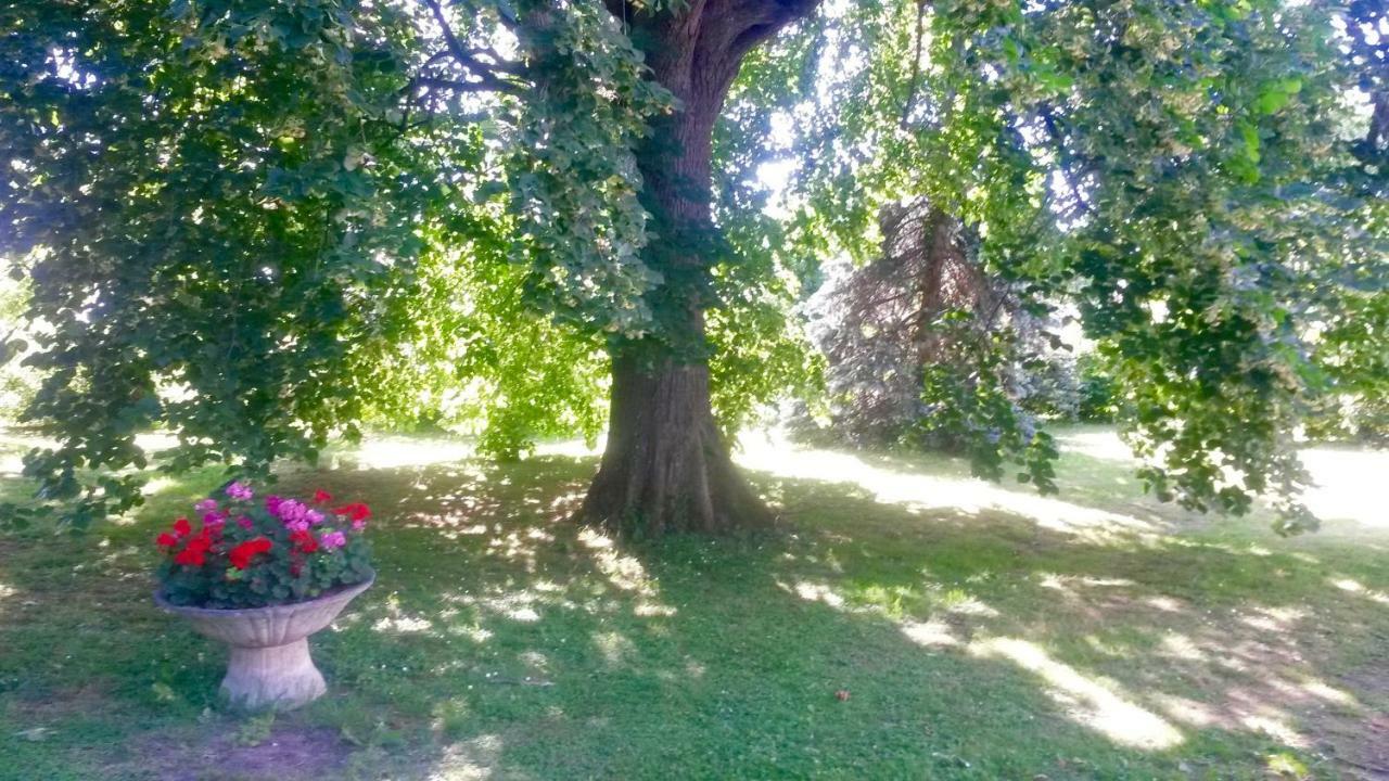 Villa Toulousaine Grisolles  Exteriör bild