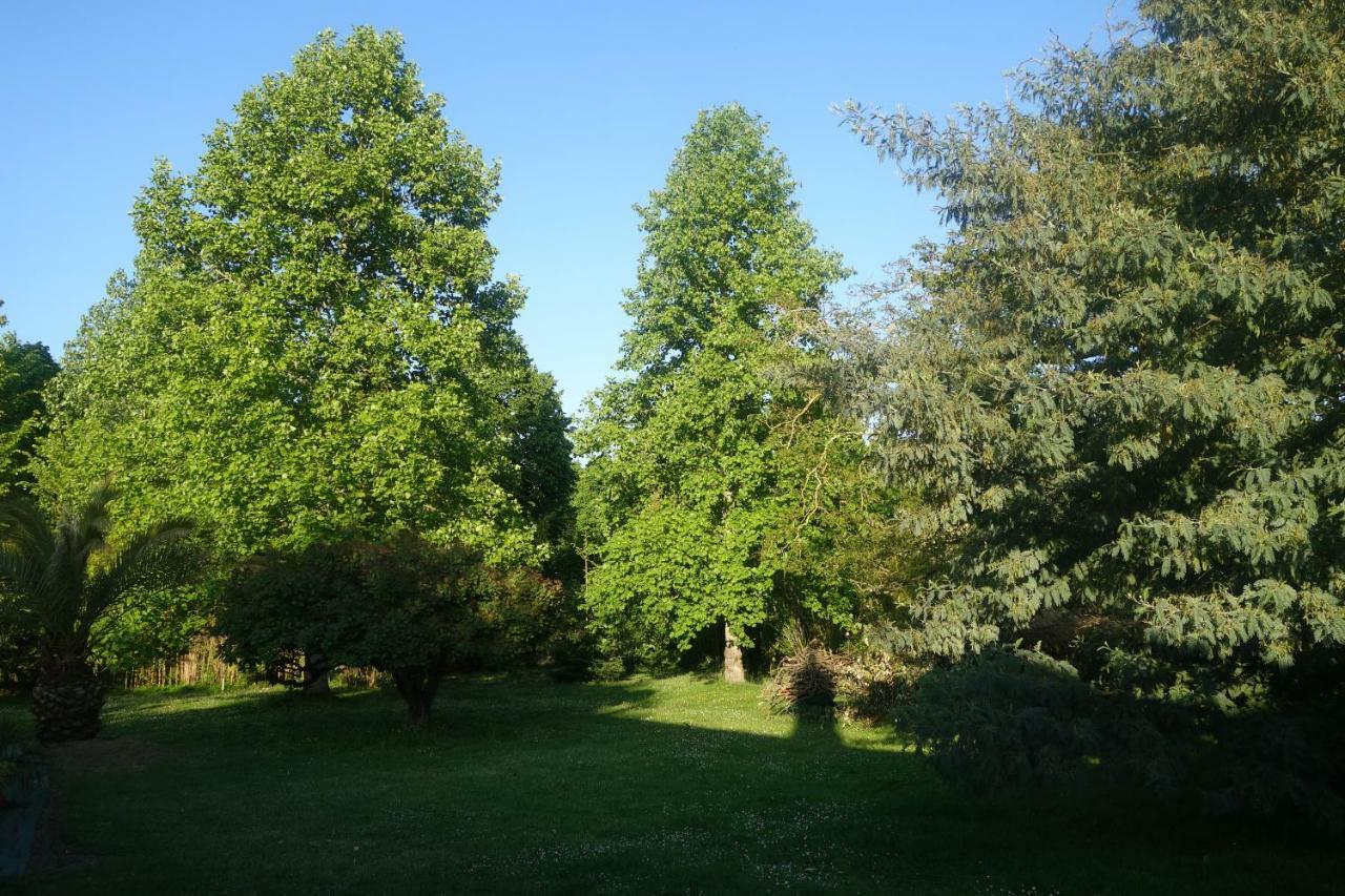 Villa Toulousaine Grisolles  Exteriör bild