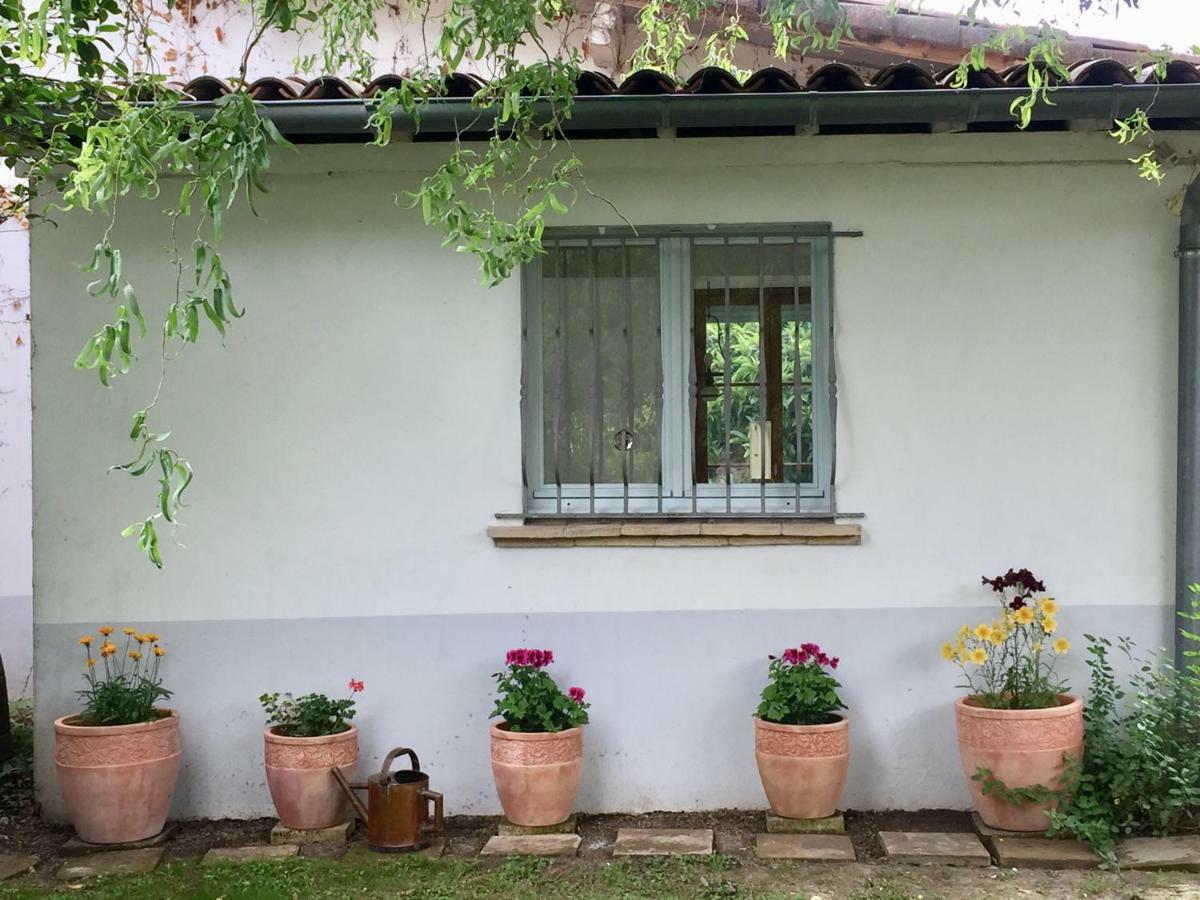 Villa Toulousaine Grisolles  Exteriör bild